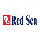 Red Sea - Koral King