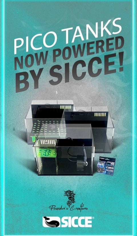 Pico Tank (with Sicce Pump) 12x12x7 - Koral King