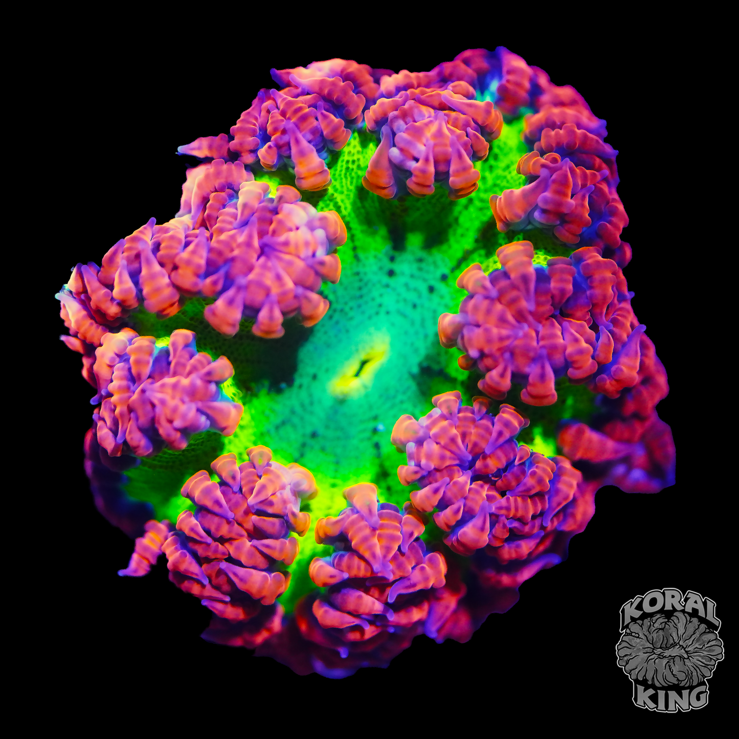 Confetti Rock Flower