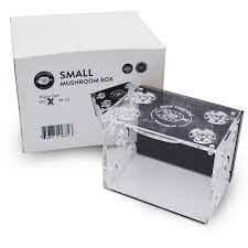 PNW Small Mushroom Box - Koral King
