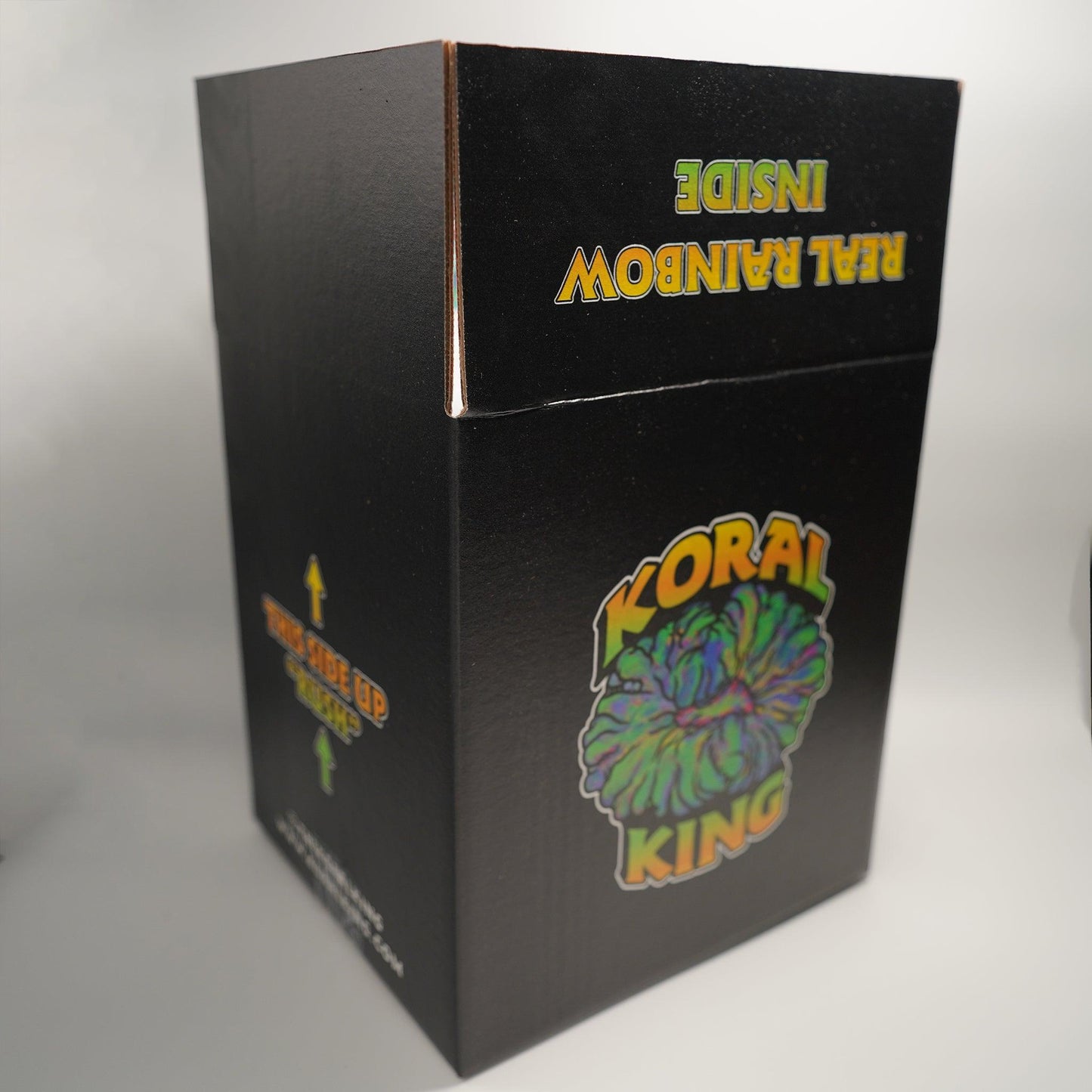 King's Mystery Box - Koral King