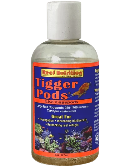 Reef Nutrition Tigger Pods - Koral King
