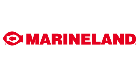 Marineland - Koral King