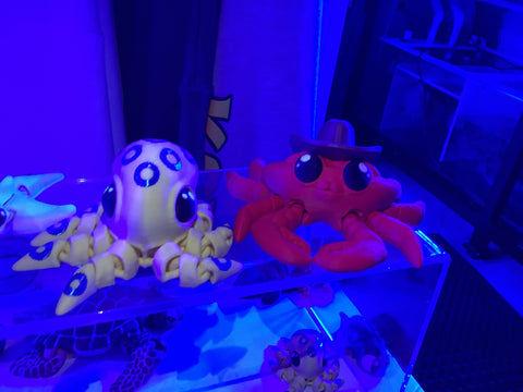 Fidget Fish