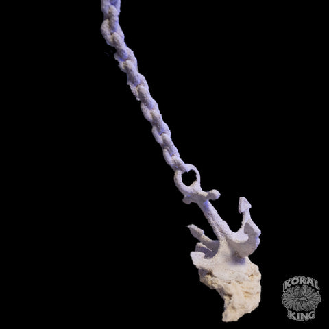 Anchor Chain Rock Decor