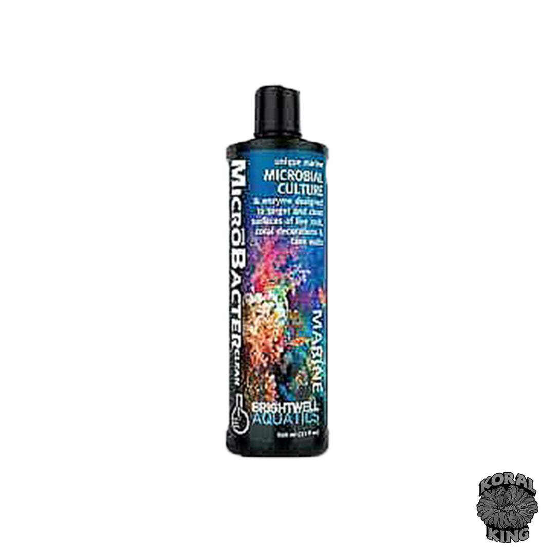 Brightwell MicroBacter Clean – Koral King