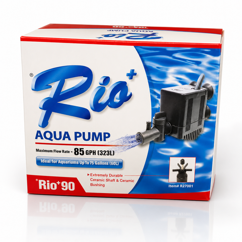 Power Heads & Pump