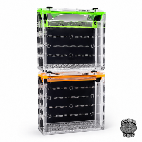 Poseidon's 3x3 Nem/Shroom Box