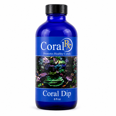 Coral RX Dip