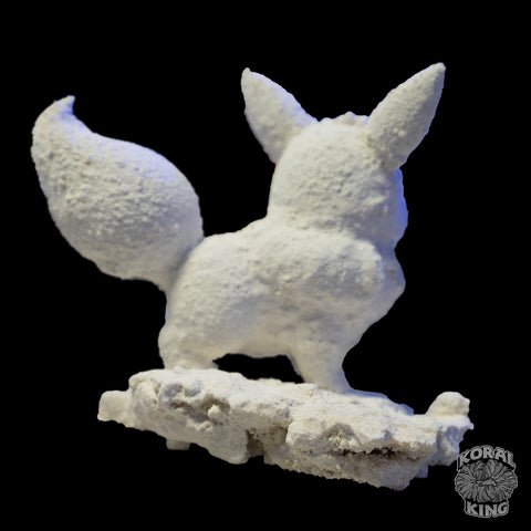 Eevee Rock Decor