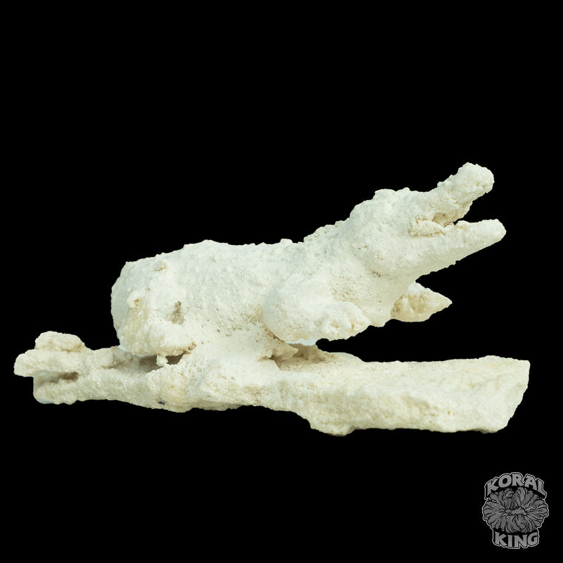 Gator Rock Decor