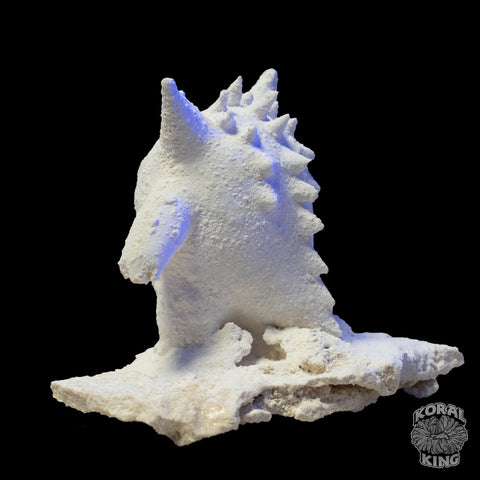 Gengar Rock Decor