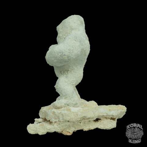 Gorilla Rock Decor