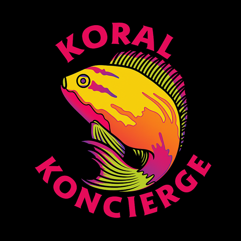 Koral Koncierge - The Ultimate Shopping Experience