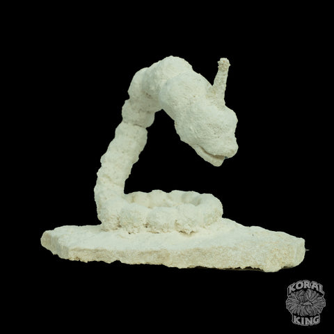 Oynx Rock Decor