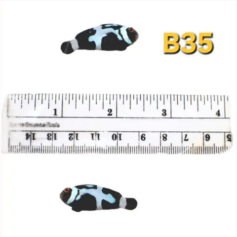 WYSIWYG B35 Sapphire Premium Onyx Picasso