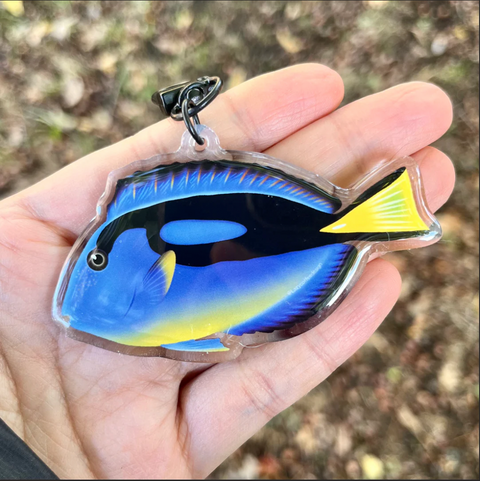 Blue Hippo Tang (Yellow Belly) Keychain