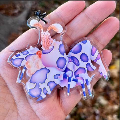 Harlequin Shrimp Keychain