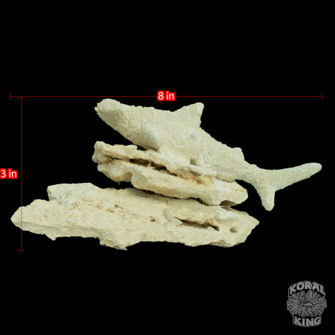 Hammer Head Shark Rock Decor