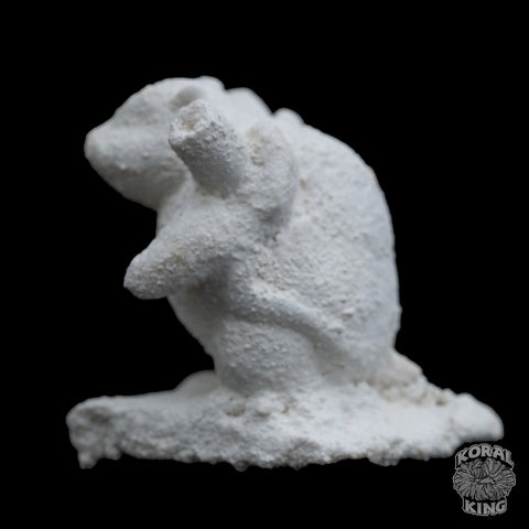 Blastoise Rock Decor