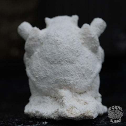 Blastoise Rock Decor