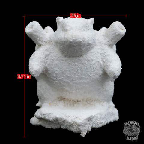 Blastoise Rock Decor