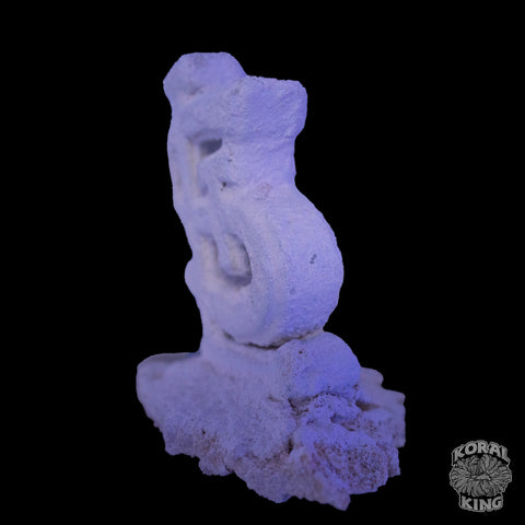 Lewis St Cardinals Logo Rock Decor