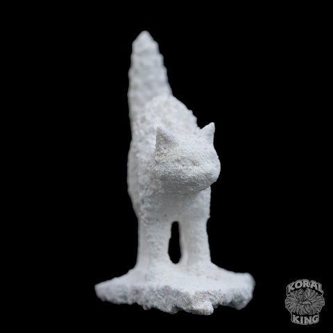 Cat Rock Decor