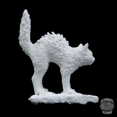 Cat Rock Decor