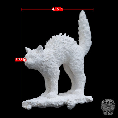 Cat Rock Decor
