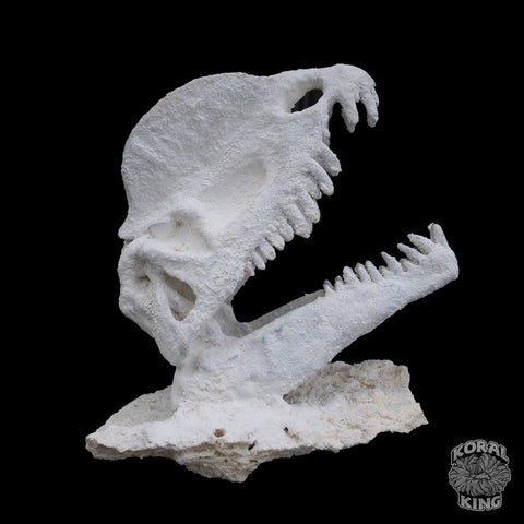 Dilophosaurus Rock Decor