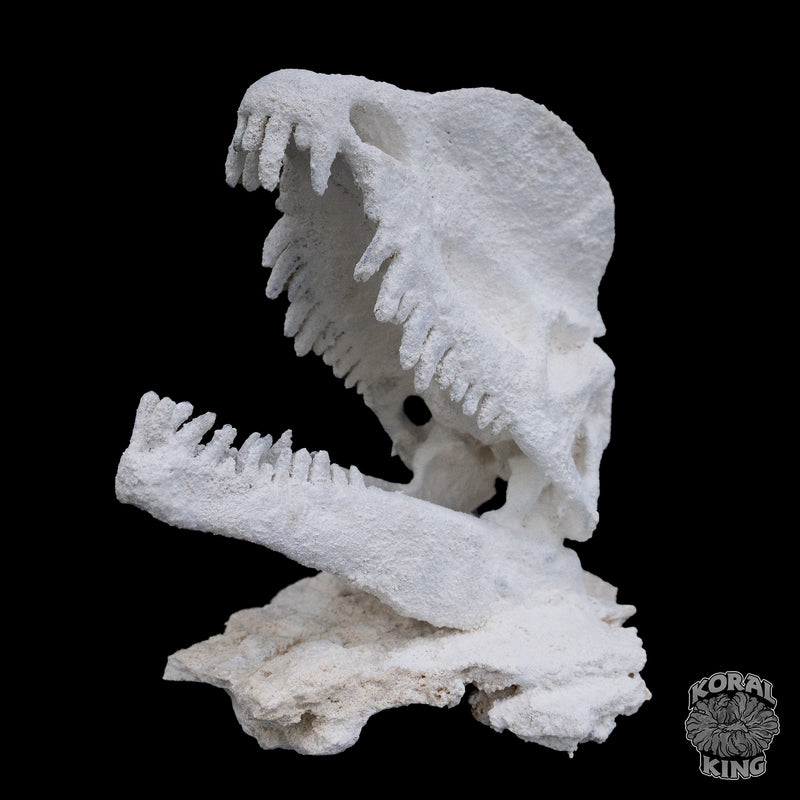 Dilophosaurus Rock Decor