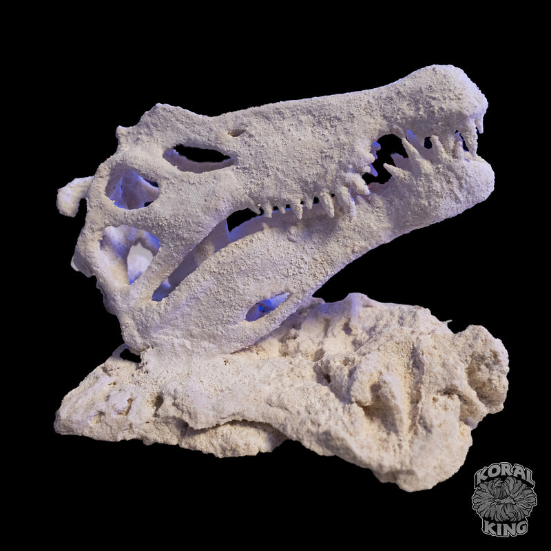 Dinosaur Rock Decor