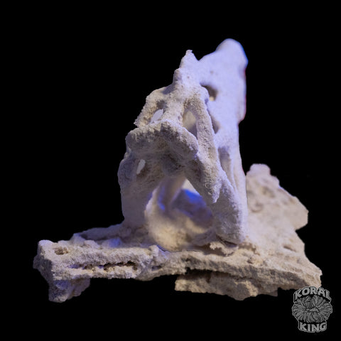 Dinosaur Rock Decor