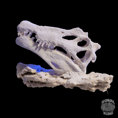 Dinosaur Rock Decor
