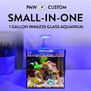Small-In-One PNW 1 Gal Aquarium