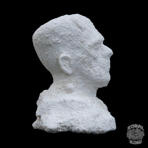 Frankenstein Rock Decor