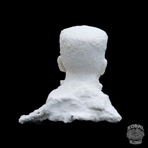 Frankenstein Rock Decor