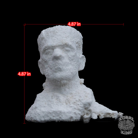 Frankenstein Rock Decor