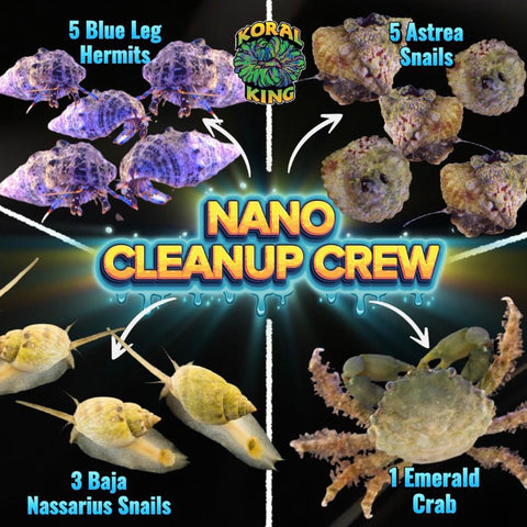 Cleanup Crew