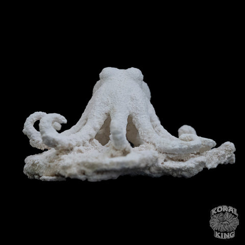 Octopus Rock Decor