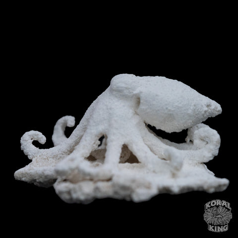 Octopus Rock Decor