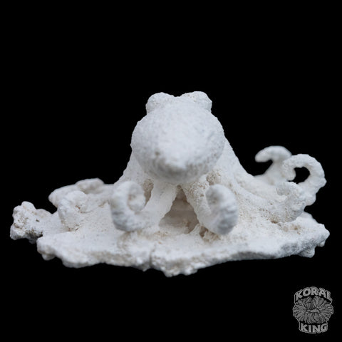 Octopus Rock Decor