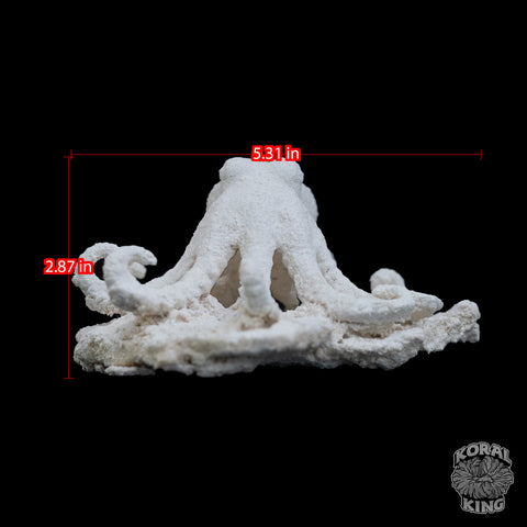 Octopus Rock Decor