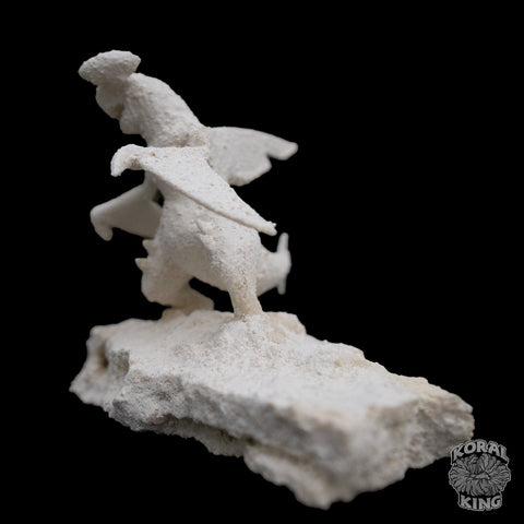 Garchomp Rock Decor