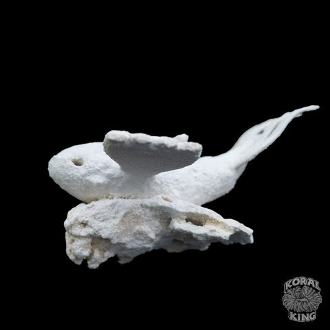 Kyogre Rock Decor