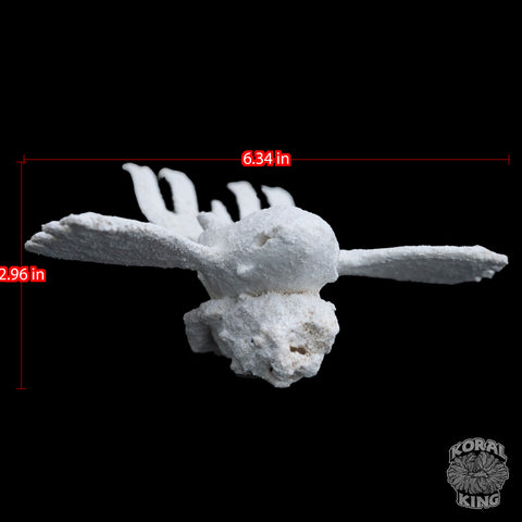 Kyogre Rock Decor