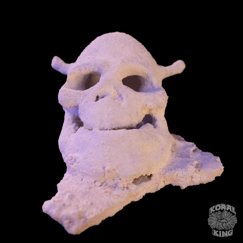 Shrek Rock Decor