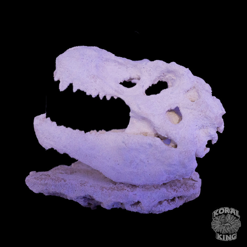 T-Rex Rock Decor