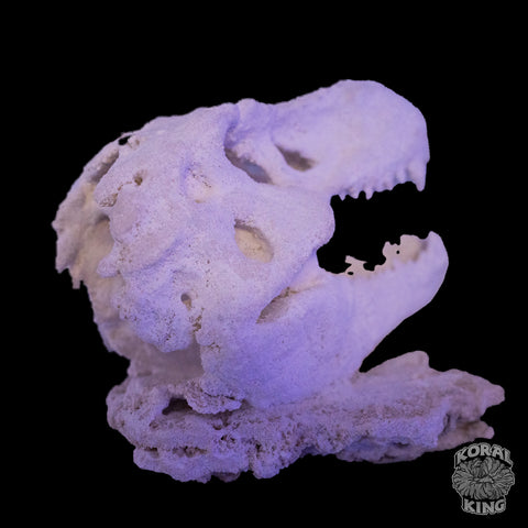T-Rex Rock Decor